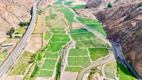 东川区干热河谷 特色农业助力乡村振兴，农业土地整理服务是关键